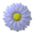 evacip